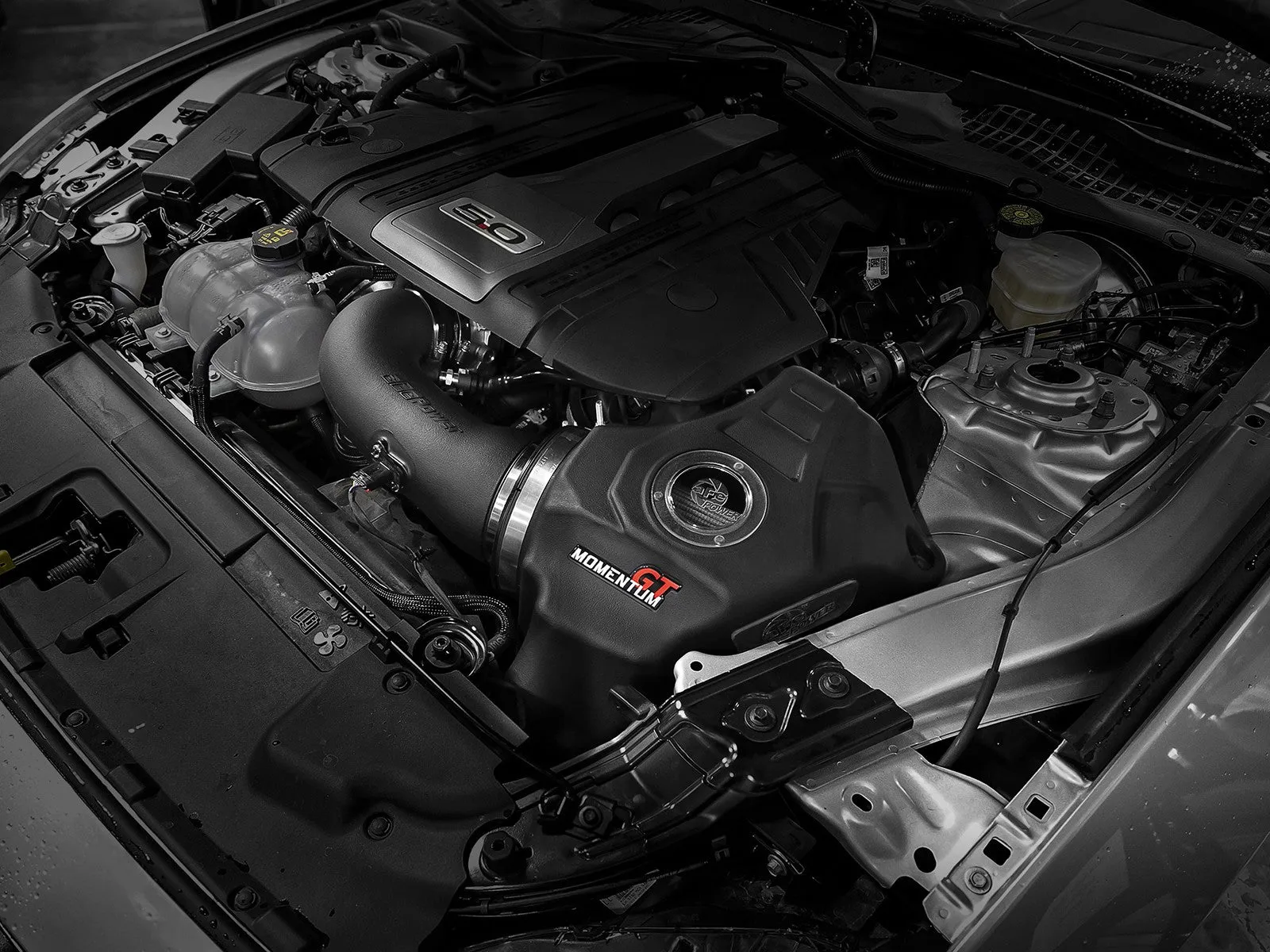 aFe Momentum GT Cold Air Intake Ford Mustang GT 5.0L (18-19) Dry or Oiled Air Filter
