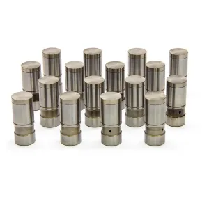 Lunati Hydraulic Lifter Set - Pontiac V8